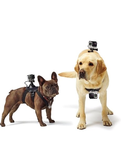 Gopro accessori fetch - accessori,